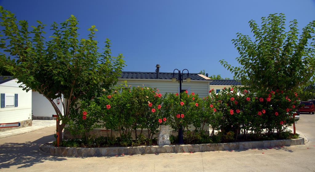 Camping Los Pinos Peníscola Exterior foto
